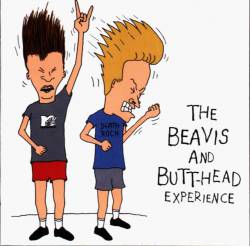 Compilations : The Beavis and Butt-Head Experience
